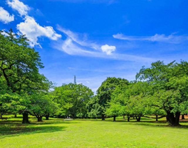 名校志向塾：东京都内最大的三个公园！一起去野餐、露营吧