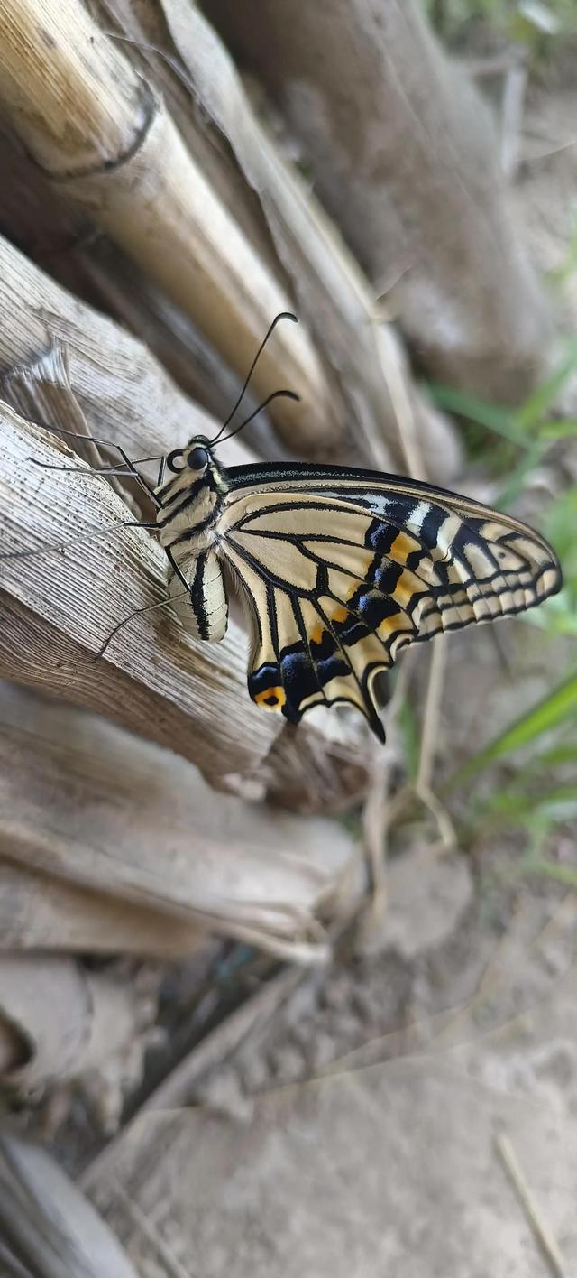 佛法修心口诀，禅宗心法口诀（修心不知如何修）