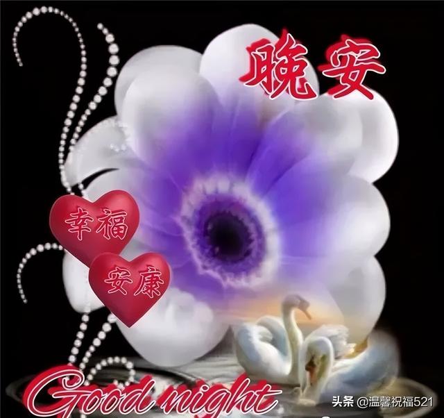 晚上好qq表情，晚上好表情包可爱 搞笑（2022新版睡前群发晚上好问候表情包图片）