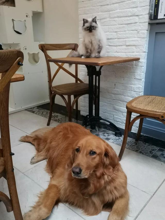 厦门宽厚里步行街的著名小吃，种草好久的厦门宽厚里美食店