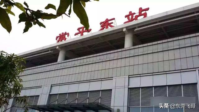 东莞西站可以去哪些地方，东莞东站和东莞西站有多远（东莞轨道交通站点）