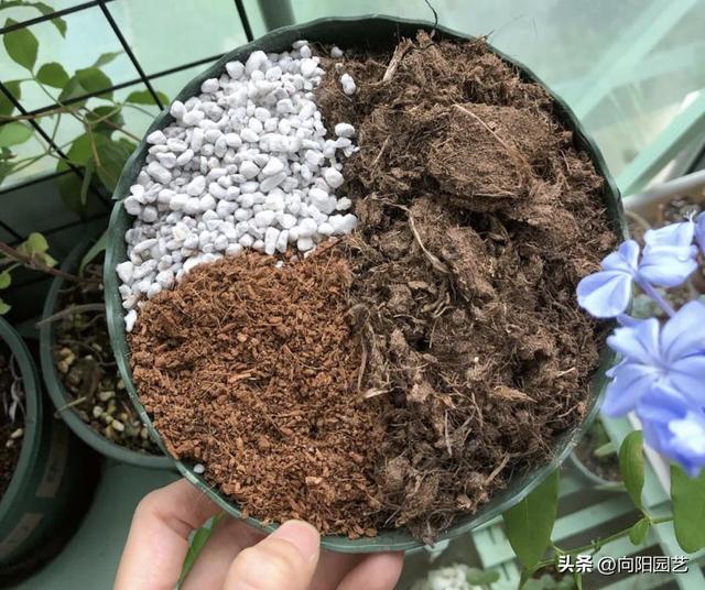 自制假水教程，自制假水教程简单（网上买的泥炭土）