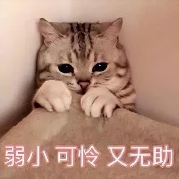 快速写作业方法，如何让孩子快速写作业（4个方法教你轻松养出自律省心的娃）