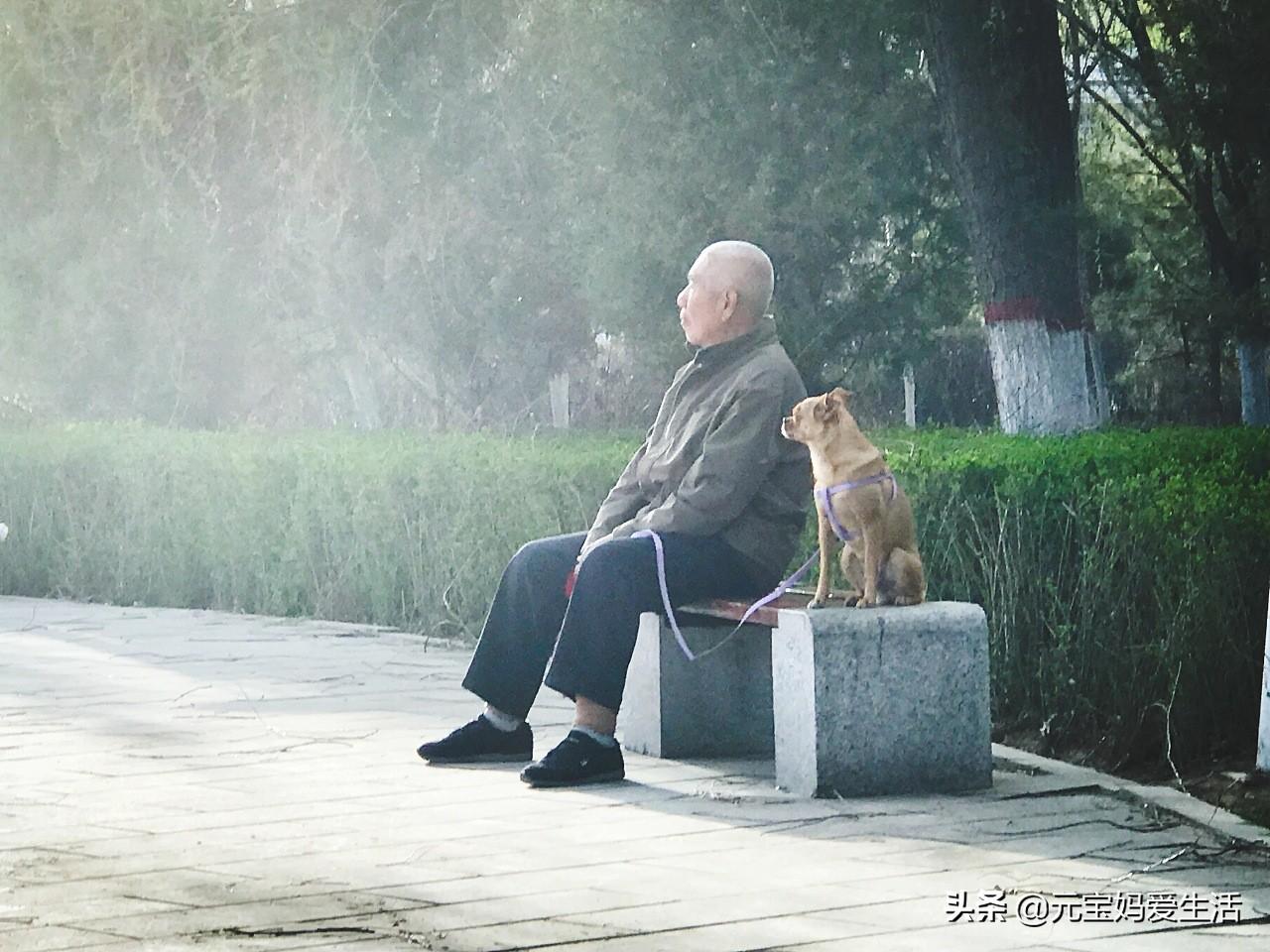 喜丧指老人多大岁数走了，老人快不行的五个征兆（多少岁算“喜丧”）