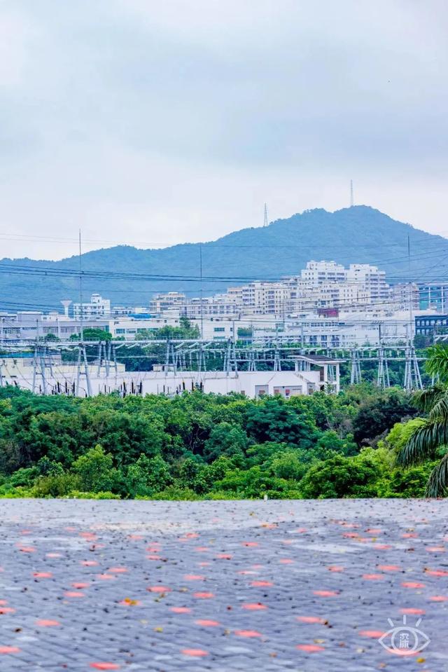 深圳旅游景点大全介绍，深圳的旅游景点有哪些地方（来深圳这10个地方玩吧）