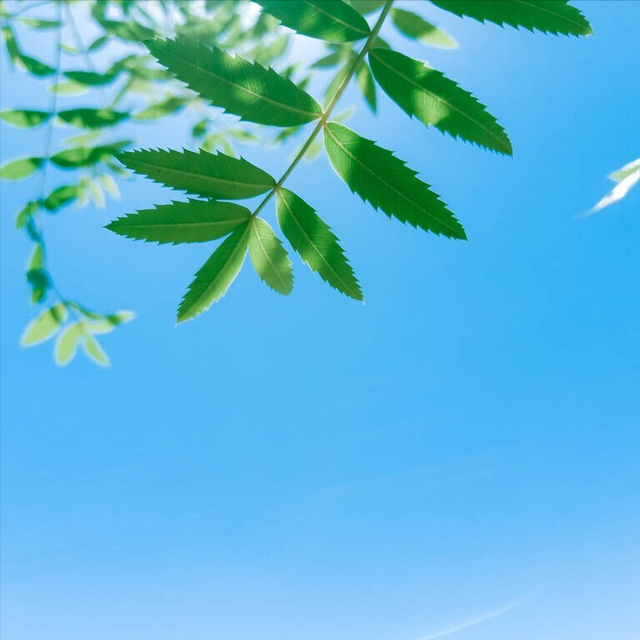 抖音文案怎麼寫吸引人,女人抖音文案怎麼寫吸引人(陽光樂觀的抖音文案