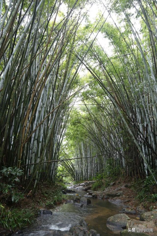 广州徒步登山经典路线，​黄埔秘境在这里