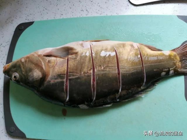 三道鳞是什么鱼，三道鳞是什么鱼类（最常见的8大“淡水鱼”）