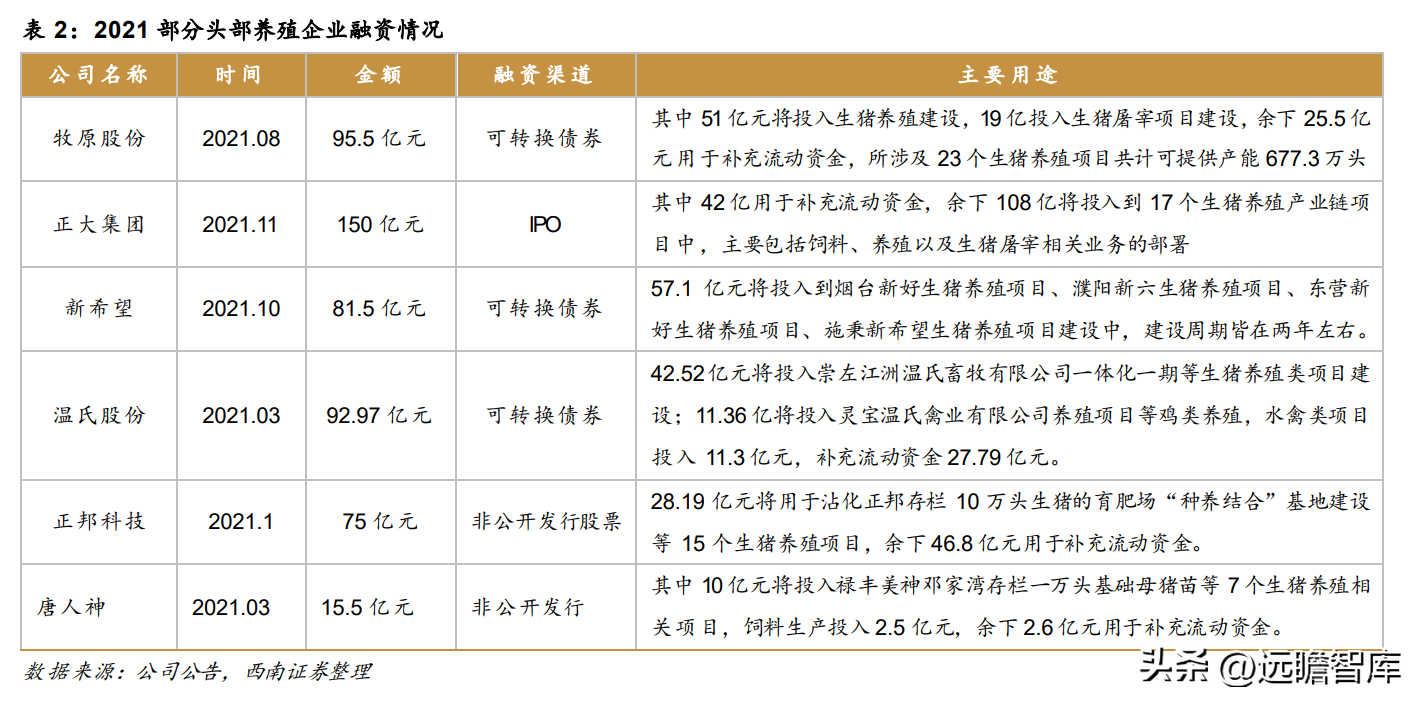 上海多肽合成（高科技动保企业）