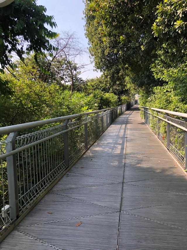 华盖山是什么，华盖山栈道悠闲游