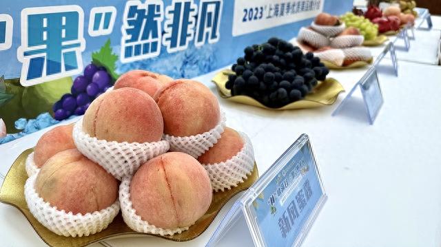 可采摘可游玩！上海首次发布22条“林果游览路线”