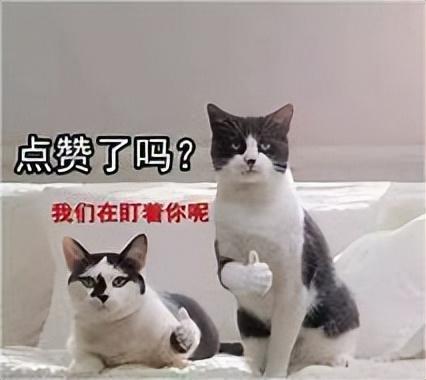 适合大学生用的搜题软件，盘点大学里那些好用的搜题软件