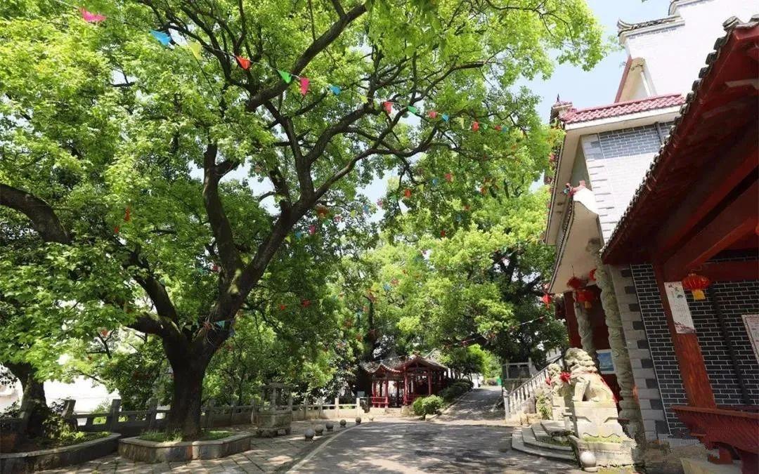 浔阳旅游景点，清凉一夏·追浔季丨九江这12个隐世古村