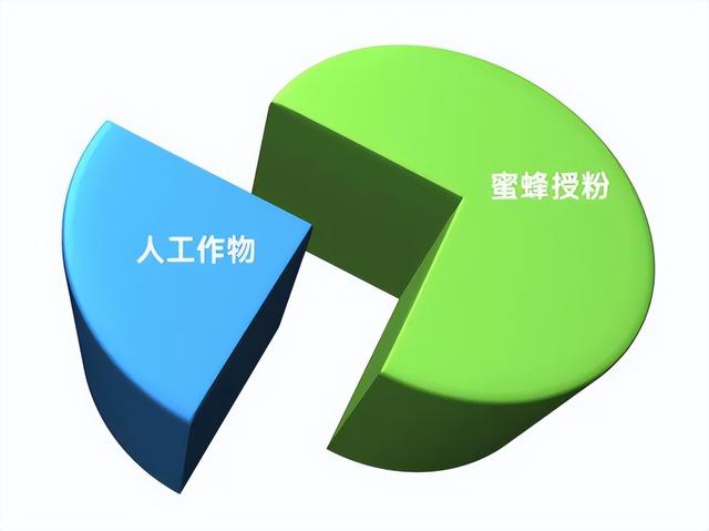 蜜蜂从地球上消失了会怎样，如果蜜蜂从地球上消失,人类将只能再存活四年（没有想法时，怎样突破重围的）