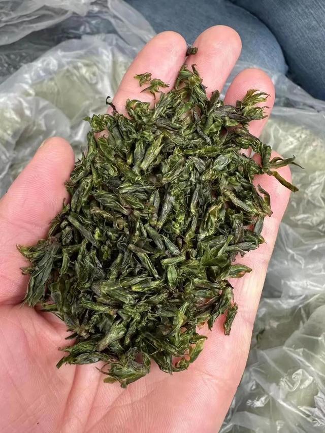 青山绿水茶的功效与作用，2023年新茶春茶