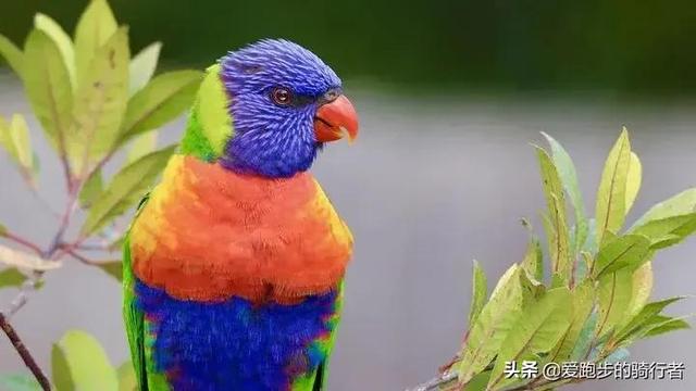 形容安静的句子，形容安静的唯美句子（让人安静的句子）