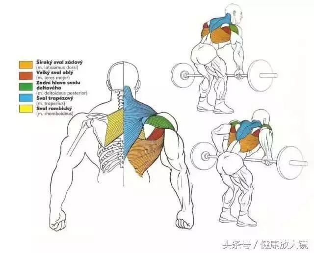 健身器械动作的指导方法，健身器械动作教学（健身房器械动作指南助力做一个“器械健身高手”）