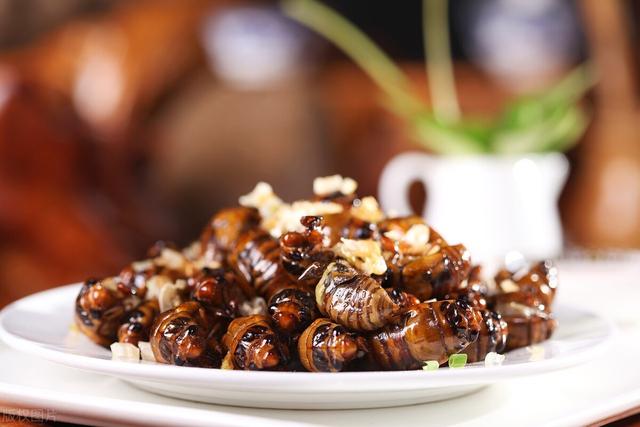 蝉怎么炒才好吃，蝉炒来吃有什么好处（不能错过的夏日应季美食——知了猴）