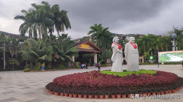 呀诺达热带雨林，呀诺达雨林文化旅游区官网（呀诺达景区探寻热带雨林奇观）