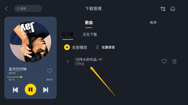 车载音乐播放器，车载音乐播放器软件哪个好（支持听书+听歌双功能）