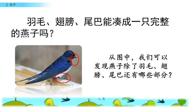 燕子的三大特点，燕子 有什么特点（三年级人教版语文下册《燕子》课文讲析及课后作业参考）