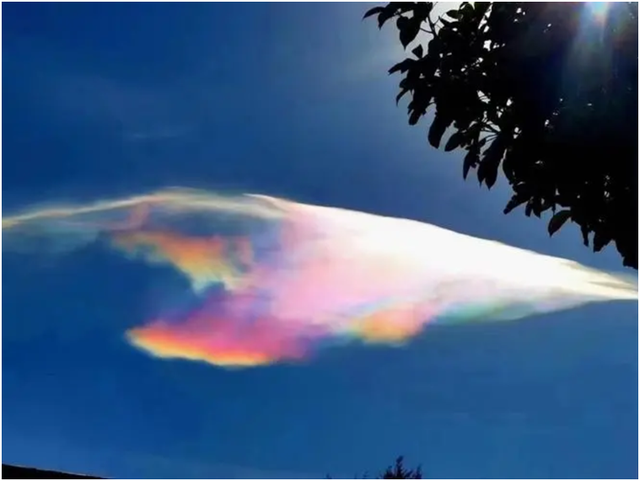 最恐怖的云，最恐怖的动物（河南出现神秘“糙面云”）