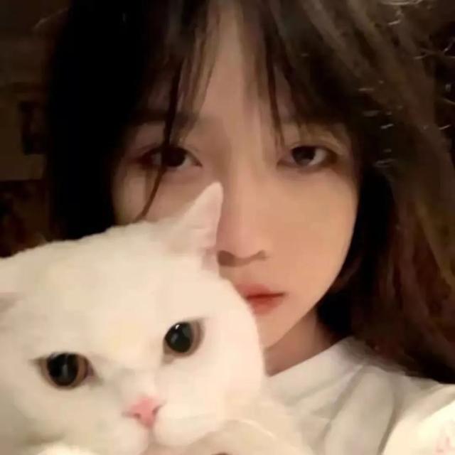 猫系女孩，微信头像，猫系女孩（女生头像：抱猫头像）