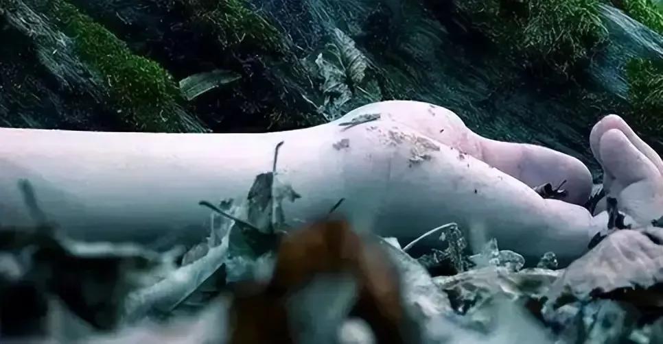 少女的尸体在菜地被发现