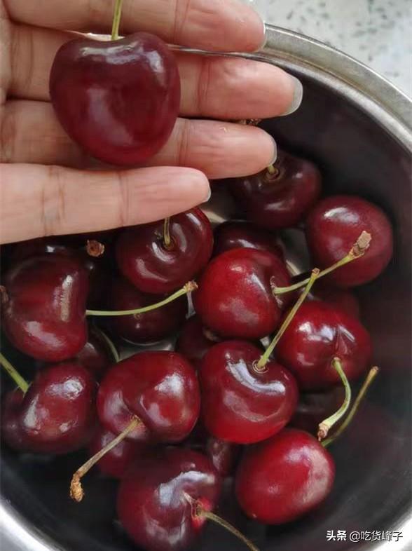 车厘子是不是樱桃，车厘子和樱桃是一样吗（车厘子和大樱桃傻傻分不清）