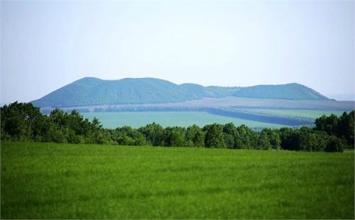 胸径是什么意思，树木胸径是什么意思（林业专业术语）