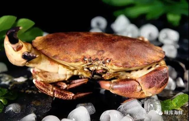 三文鱼怎么保存，三文鱼怎么保存最新鲜（海鲜保鲜期延长2倍）