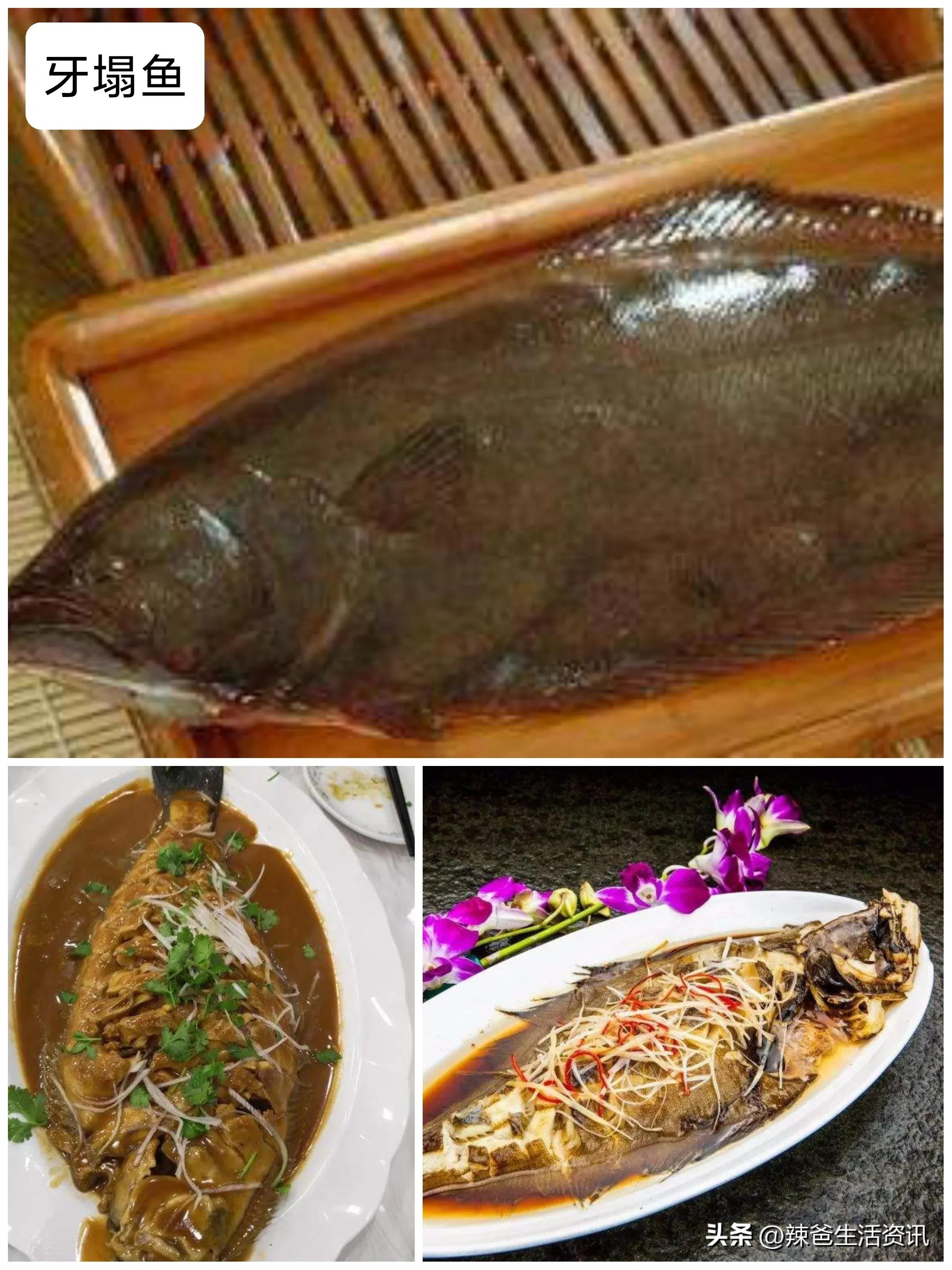 30,牙塌鱼(野生)