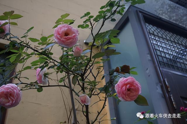 南京都有哪几个区，南京财经大学都有哪几个校区呀（南京人看南京——街区篇-T80园区）