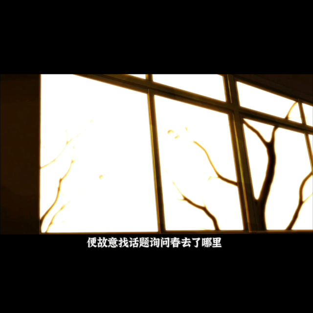 一口气看完动漫系列合集3小时，犬系VS猫系#动漫推荐