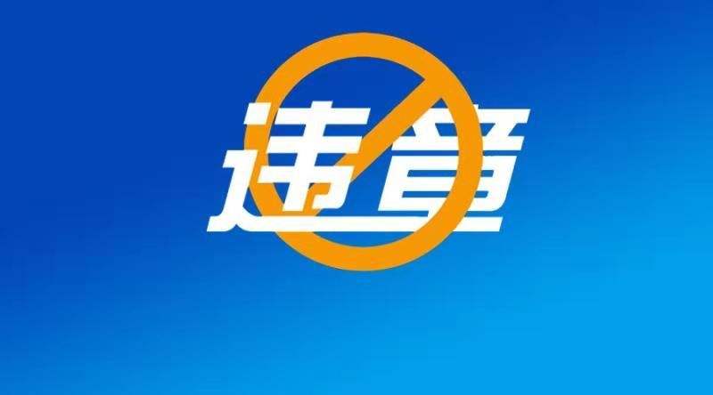 违章查询只输入车牌号(交管123123违章查询交费)