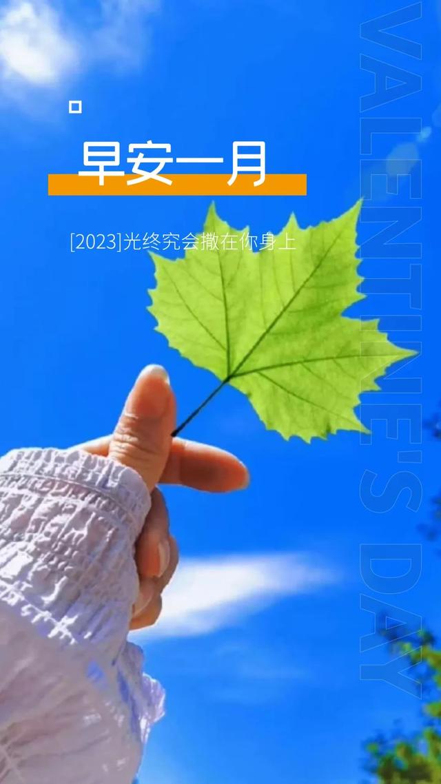 帮助别人正能量的句子，帮助别人正能量的句子大全（早安心语，正能量坚强语录句子）