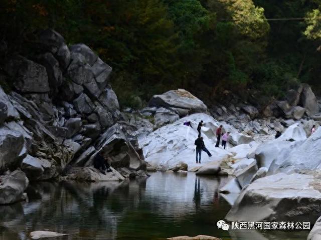 中国旅游日丨黑河森林公园免票入园，园内多处均可免费参观