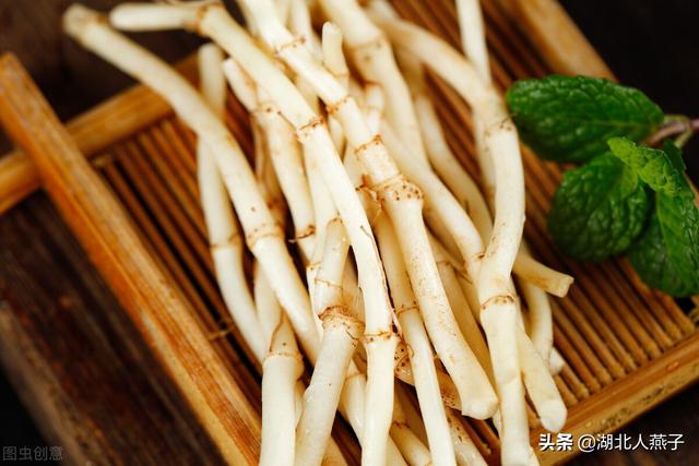 农村100种野菜图片，野菜的种类（常见的野菜图片与名字）