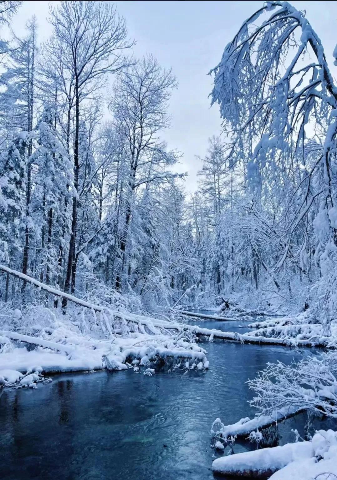 世界十大名山，世界十大名山排名榜（中国十大名山 你登过几个）