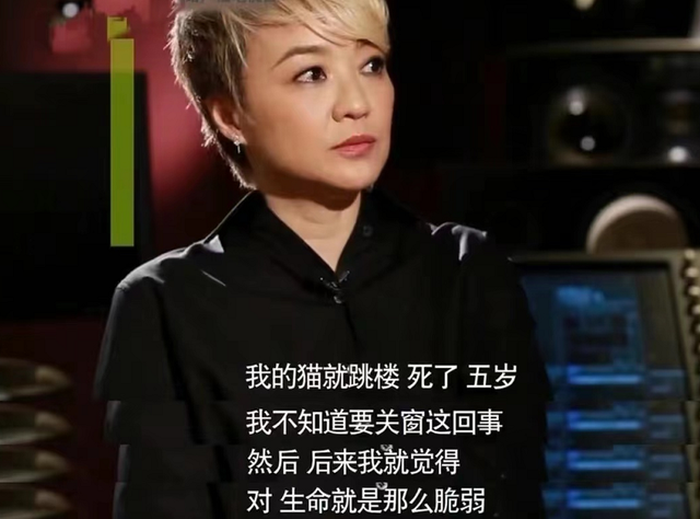 梅艳芳什么原因怎么走的，梅艳芳怎么去世的（陈慧娴与梅艳芳争霸失败）