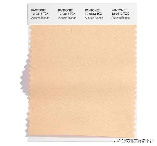 12种颜色的图片（2022秋冬十大流行色）