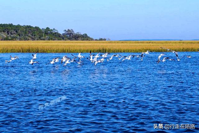 黑海为什么叫黑海，黑海现在情况怎么样（不仅仅因为海水黑，还很危险）