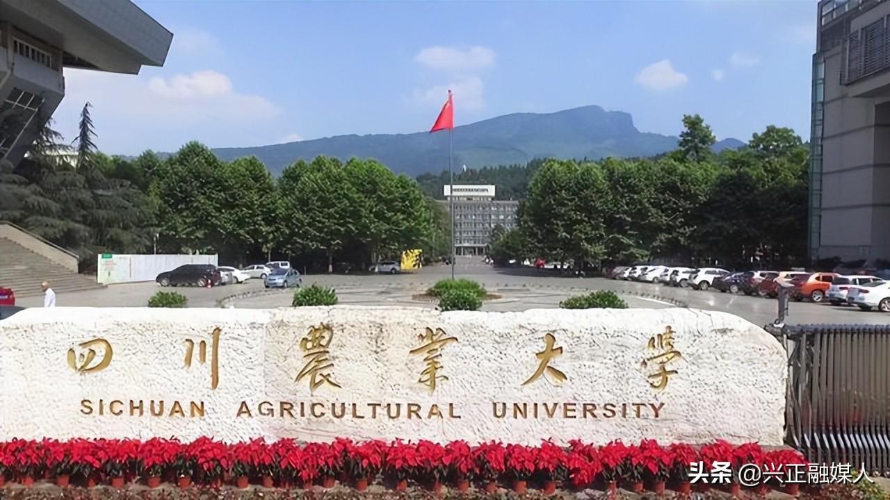 四川大学2021各科专业录取分（四川2021—19年3年专业录取分、位次汇总）