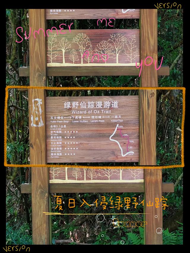 杭州二日游攻略，杭州二日游攻略自由行（杭州-武夷山二日游之绿野仙踪漫游道）