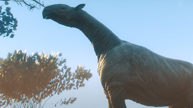 昆虫类有哪些动物，宠物种类有哪些（地球上体型最大的10种动物）