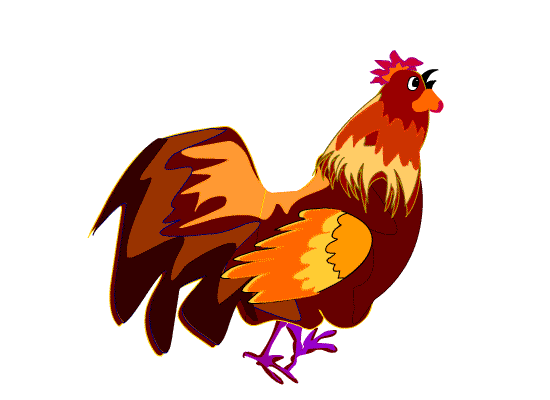 孔雀英语怎么说,peacock怎么读(为什么会有西方人姓peacock孔雀呢)