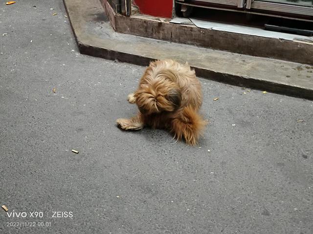 vivo拍照设置显示时间，vivo手机拍照片怎么添加时间和地点水印（影像升级，性能拉满：vivo）