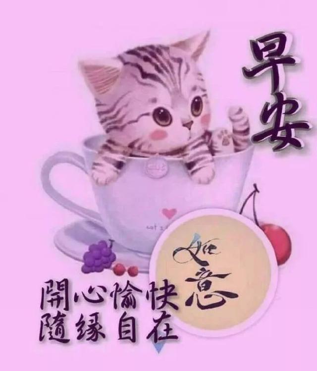 开心的说说短句，今天特别开心的说说短句（愿君开心一夏）