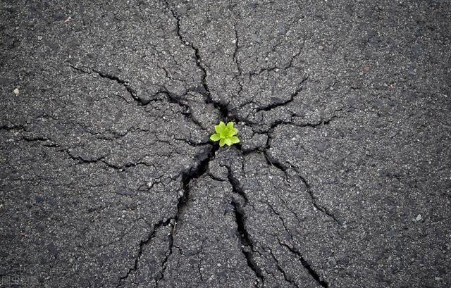 职场精英是如何炼成的，从职场新人到职场精英（如何快速成长为职场精英）