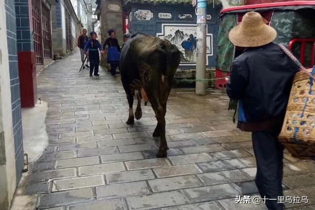 大理玩几天合适，大理游玩几天合适（云南大理-一个古朴的地方）